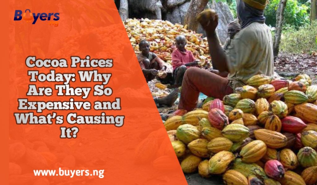 Cocoa Prices in 2025: Why Are They So Expensive and What’s Causing It ...